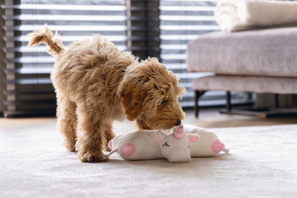 Beeztees Puppy Warmteknuffel Mon