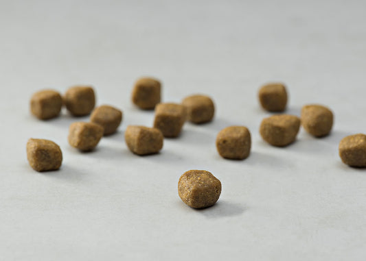 Prins Dieetvoedingen kat Mobility Natuurlijke krokante dieetvoeding voor katten met gewrichtsproblemen Voor katten met gewrichtsproblemen VitalCare Veterinary Diet Mobility is een krokante brokvoeding die geschikt is voor volwassen katten met gewrichtsproblemen. Gewrichtsproblemen door (osteo)artrose komt het vaakst voor. Artrose is een aandoening waarbij slijtage van het kraakbeen van een bepaald gewricht optreedt. Deze volledige dieetvoeding bevat voedingsstoffen die een positieve invloed hebben op de ge