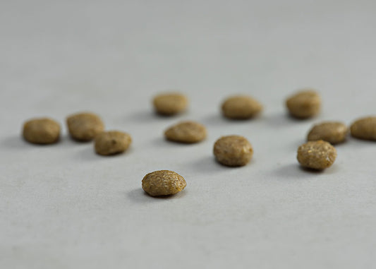 Prins Dieetvoedingen kat GASTRO-INTESTINAL Low fat Natuurlijke krokante dieetvoeding voor katten ter compensatie voor een slechte spijsvertering