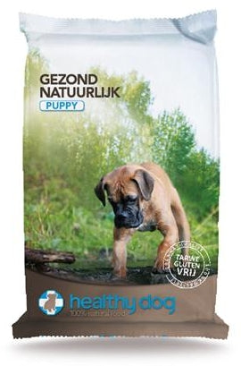Healthy Dog Puppy