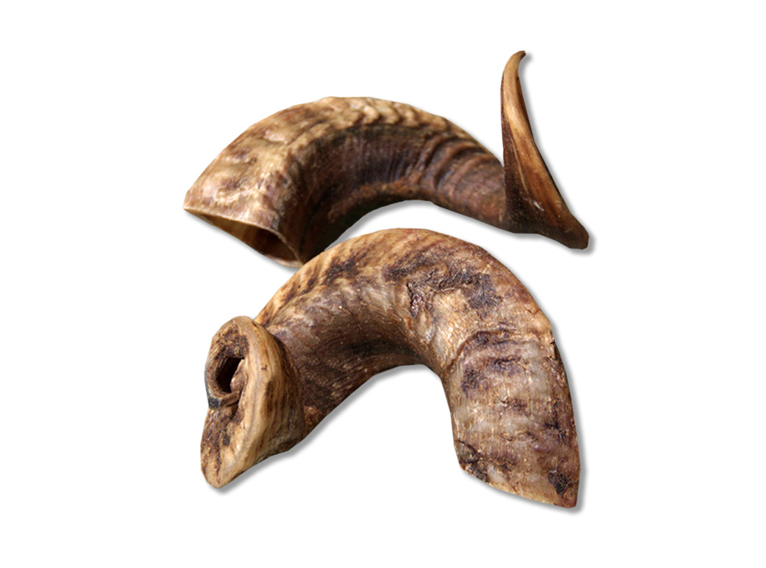 Lamshoorn