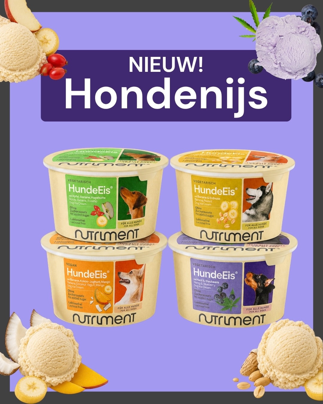 NIEUW ✨🍨 Hondenijs 🍨✨ 100% natuurlijk!