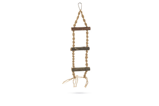 BZ SCHOMMEL LADDER HINTO 36