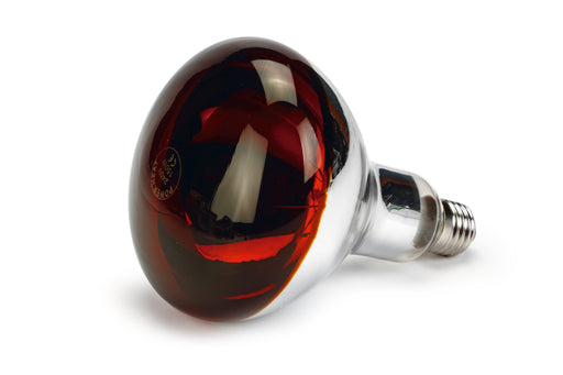 INFRAROOD WARMTELAMP R125 150W