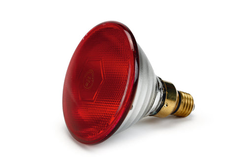 INFRAROOD WARMTELAMP PAR38 175W