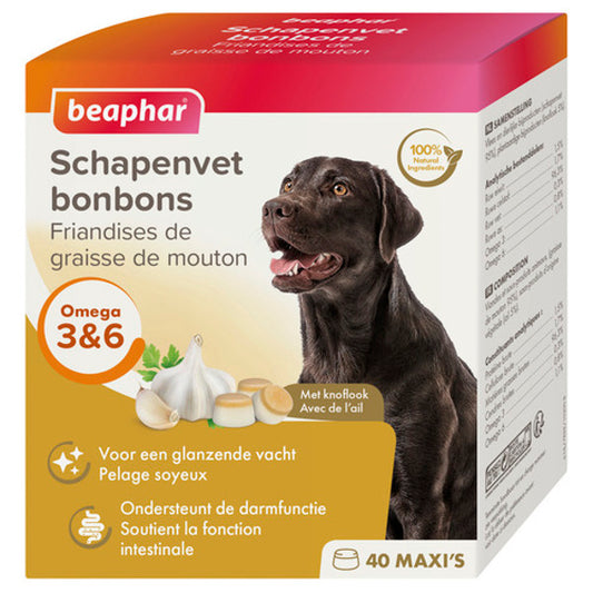 Schapenvet Knoflook maxi