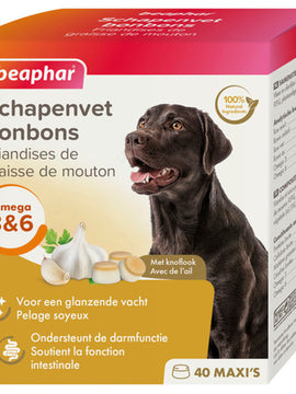 Schapenvet Knoflook maxi