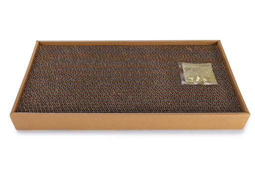 BZ MINUS ONE KRABPL ILANA 48,5X24