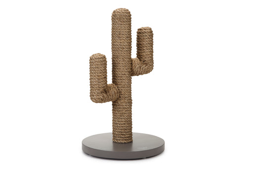 DBL HOUT KRABP CACTUS TPE 35X35X60
