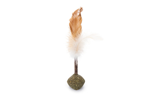 BZ CATNIP BAL+MATATABI MET VEREN 16