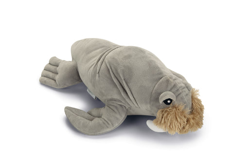 BZ PLU HSP WALRUS AIDEN GRS 34