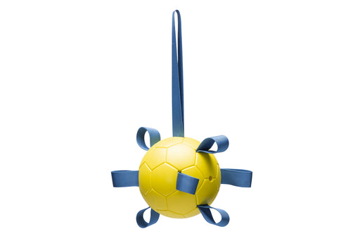 BZ FETCH SPEELBAL POWER GL 13
