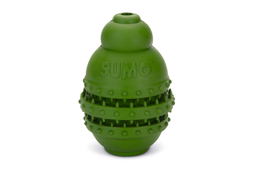 BZ SUMO PLAY DENTAL L GRN 10X10X15