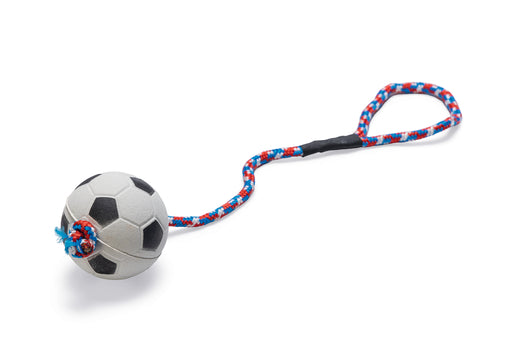 BZ RUBBER SPONZENBAL 30 KOORD