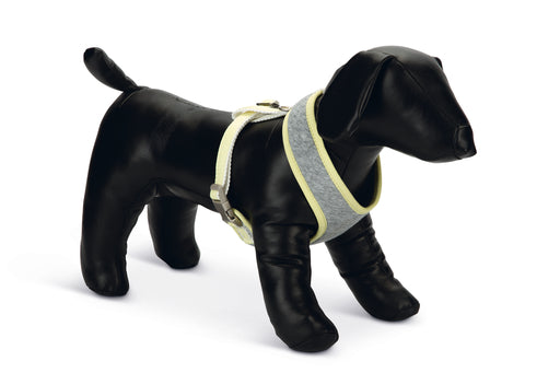 BZ PUPPY BORSTTUIG BRONDA M GRS