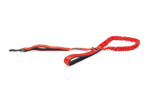 BZ PREM EL LOOPL PARINCA RD 120X25