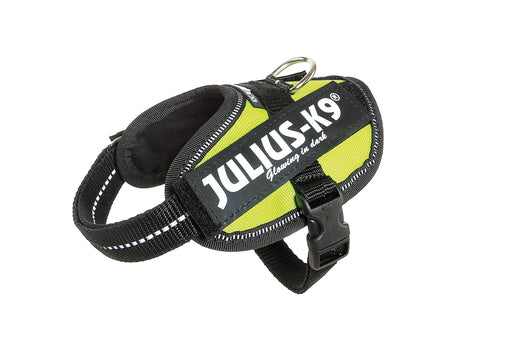 K9 IDC POWERT BABY 2 NEON GRN 33-45