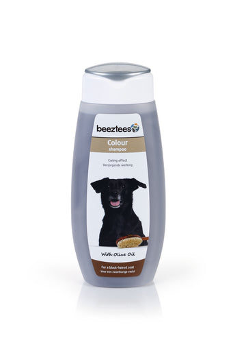 BZ COLOUR SHAMPOO BLACK 300ML
