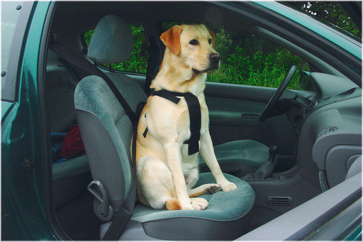 BZ WANDEL- EN AUTOGORDEL HOND L
