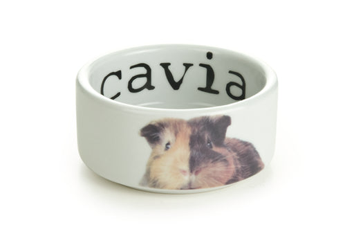 BZ KERAM EETB SNAPSHOT CAVIA 10X4