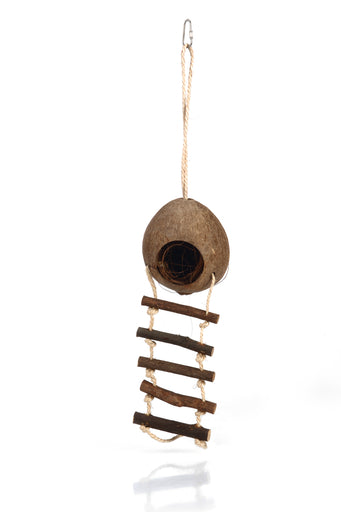 BZ KOKOSNOOT HUISJE MET LADDER 30
