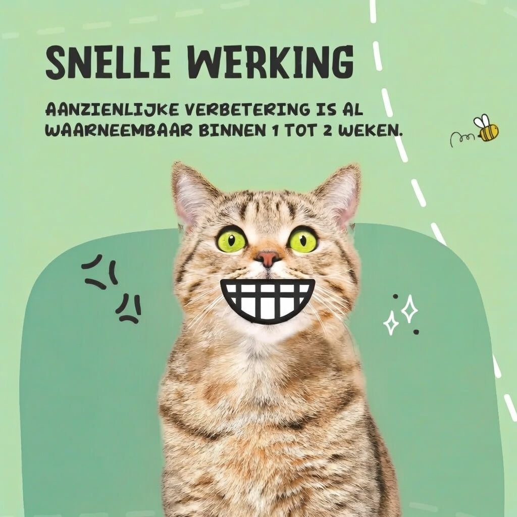 Dierenspeciaalzaak Voesenek Dental Care Powder 60 g