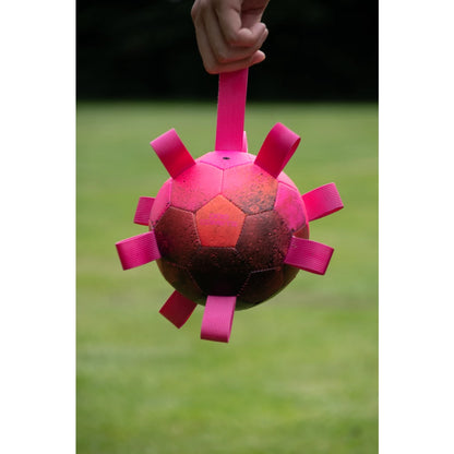 Dog Comets Hypernova