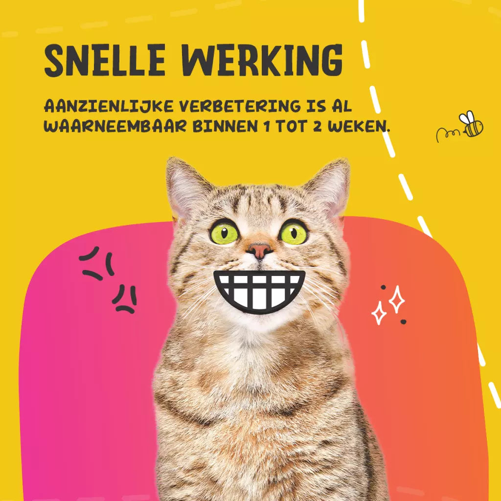 Excellent Pets Dental Oral Care 60 g