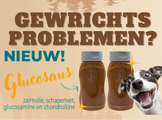 Glucosaus Met glucosamine & chondroïtine
