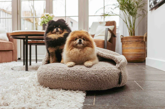 Lex & Max Hoodie orthopedische hondenmand