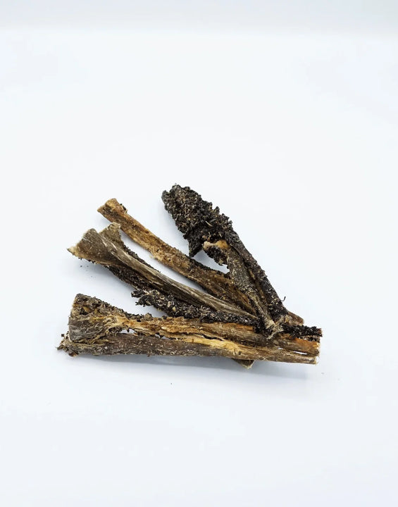 Lamspens