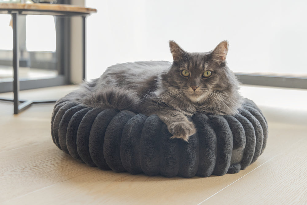 Designed by Lotte Reza - Kattenmand - 50x50x15 cm