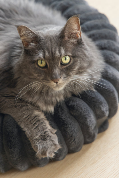 Designed by Lotte Reza - Kattenmand - 50x50x15 cm