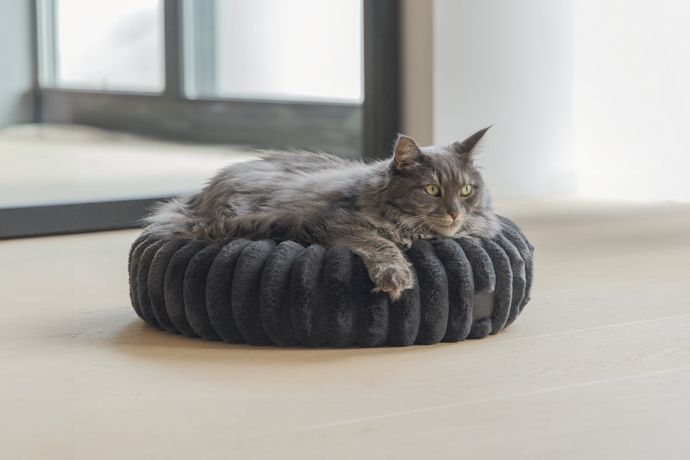 Designed by Lotte Reza - Kattenmand - 50x50x15 cm