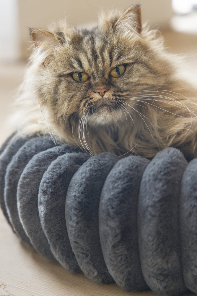 Designed by Lotte Reza - Kattenmand - 50x50x15 cm