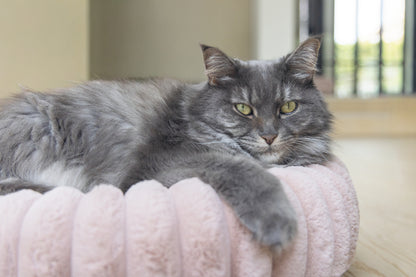 Designed by Lotte Reza - Kattenmand - 50x50x15 cm