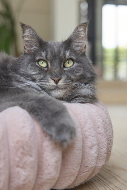 Designed by Lotte Reza - Kattenmand - 50x50x15 cm