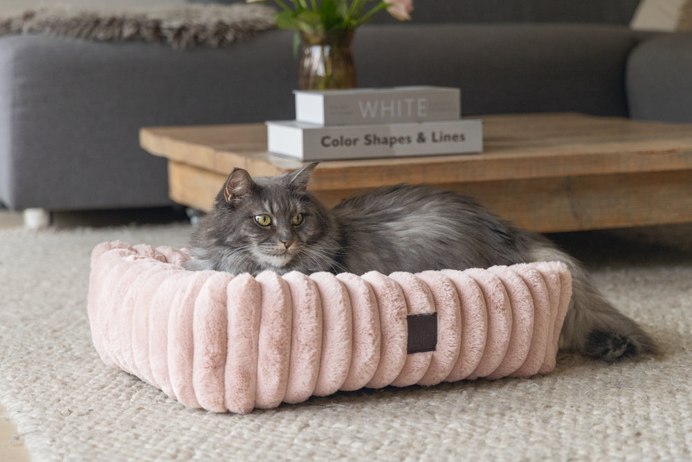 Designed by Lotte Reza - Kattenmand - 52x44x16 cm