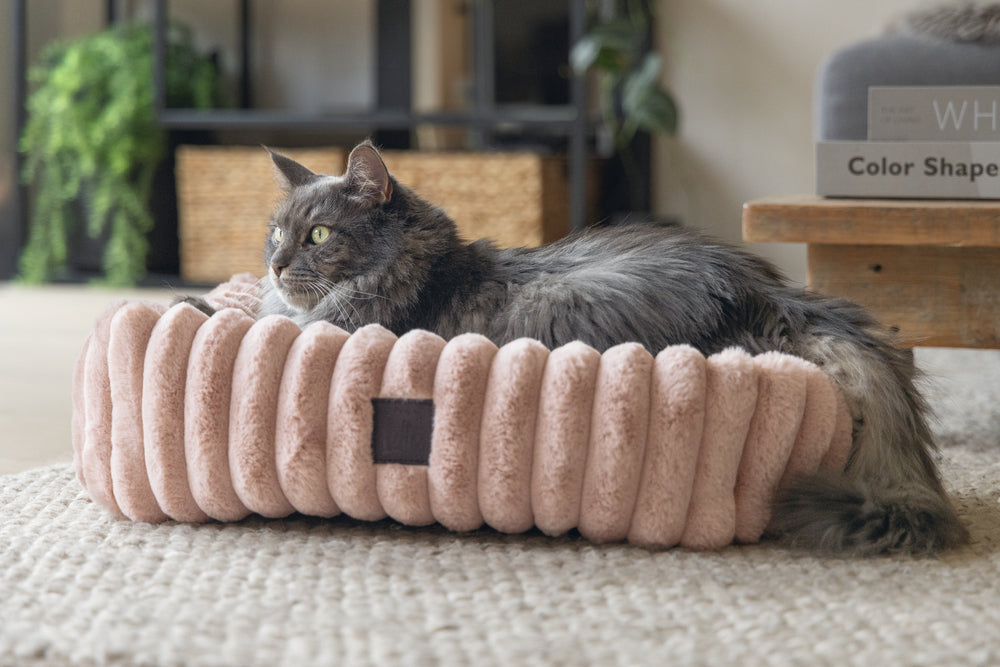 Designed by Lotte Reza - Kattenmand - 52x44x16 cm