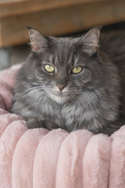 Designed by Lotte Reza - Kattenmand - 52x44x16 cm