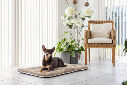 NANO BENCHKUSSEN GRIJS