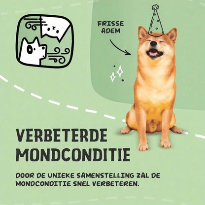 Dierenspeciaalzaak Voesenek Dental Care Powder 60 g