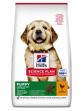 Hills Science Plan Puppy Large Breed Chicken