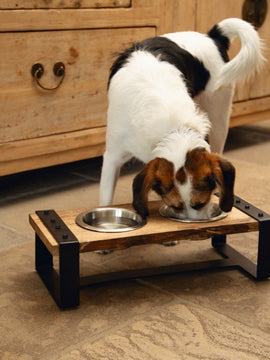 DESIGNED BY LOTTE HOUTEN DINERSET KARINTO