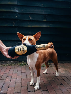 Champagnefles Pluche Zwart/Goud