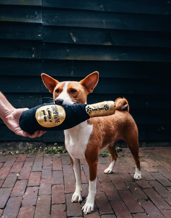 Champagnefles Pluche Zwart/Goud