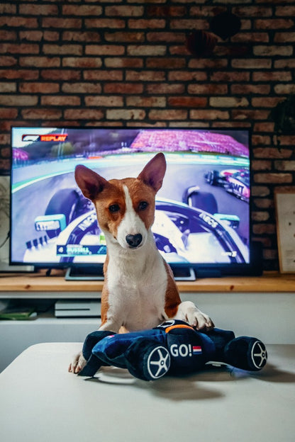 Beeztees Pluche Hondenspeelgoed RACEAUTO GO BLAUW