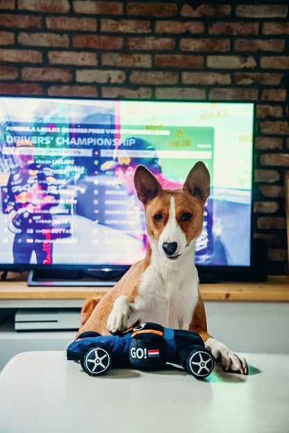 Beeztees Pluche Hondenspeelgoed RACEAUTO GO BLAUW