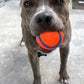 CHUCKIT ULTRA BALL