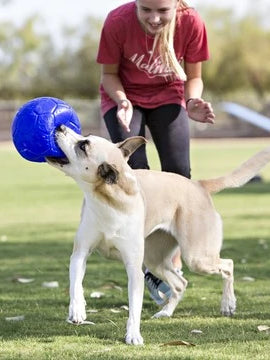 Jolly Soccer Ball